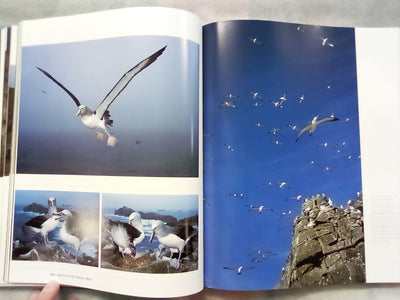 Albatross - Their World, Their Ways by Tui De Roy, Mark Jones, & Julian Fitter