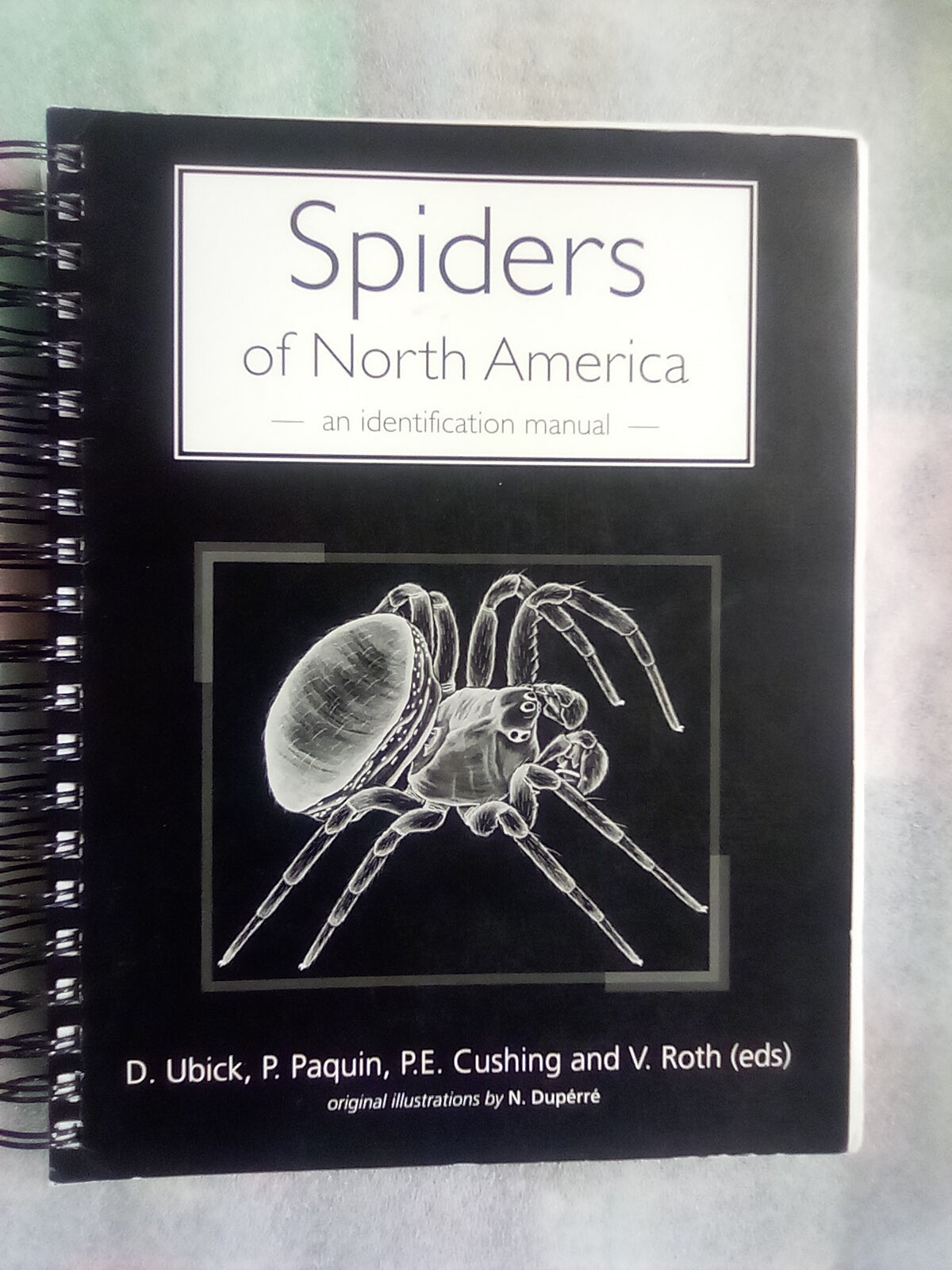 Spiders of North America - an Identification Manual