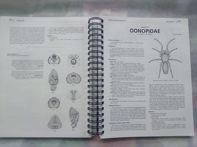 Spiders of North America - an Identification Manual