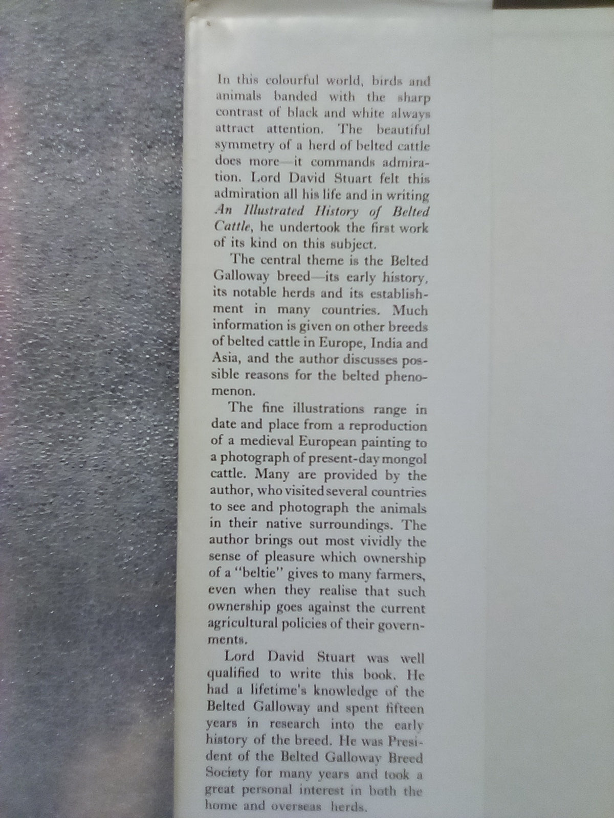 An Illustrated History of Belted Cattle (1970 1st. Edition) by Lord David Stuart
