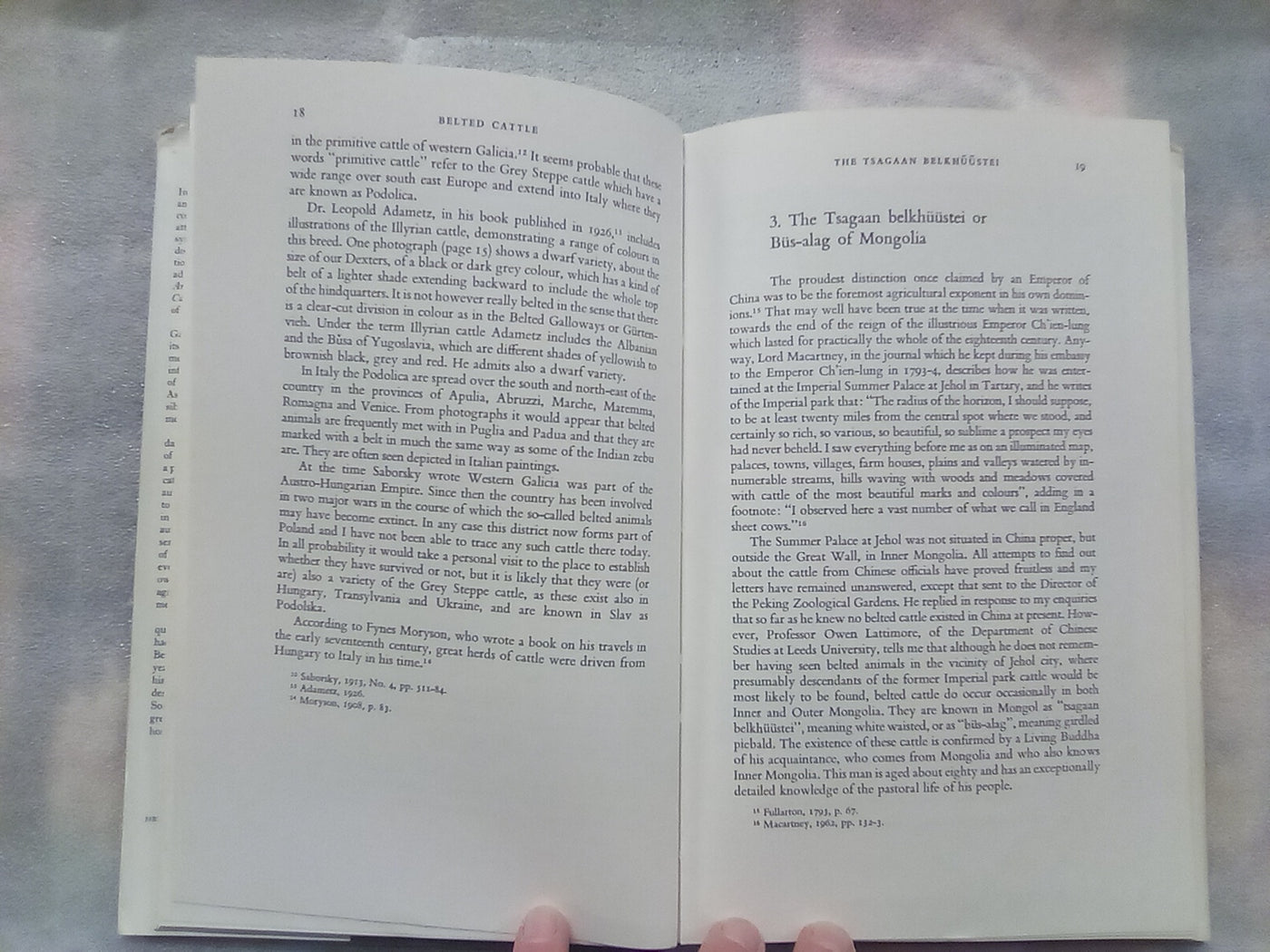 An Illustrated History of Belted Cattle (1970 1st. Edition) by Lord David Stuart