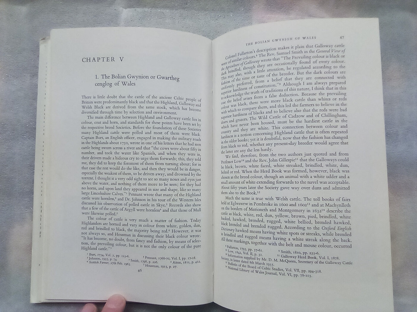An Illustrated History of Belted Cattle (1970 1st. Edition) by Lord David Stuart