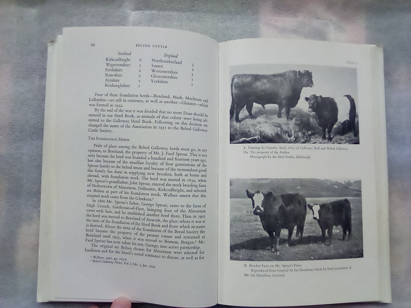 An Illustrated History of Belted Cattle (1970 1st. Edition) by Lord David Stuart