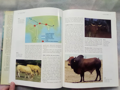 The NZ Guide to Cattle Breeds by Graham Meadows
