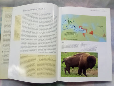 The NZ Guide to Cattle Breeds by Graham Meadows