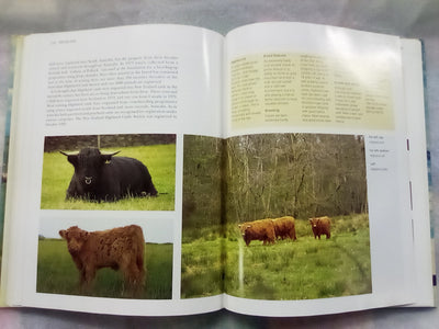 The NZ Guide to Cattle Breeds by Graham Meadows