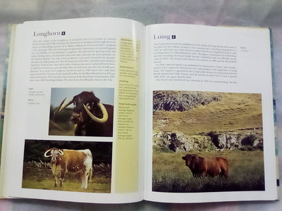 The NZ Guide to Cattle Breeds by Graham Meadows