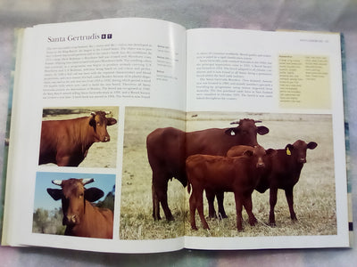 The NZ Guide to Cattle Breeds by Graham Meadows