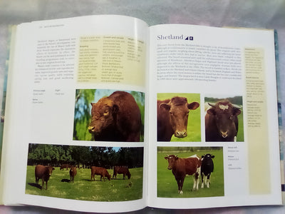 The NZ Guide to Cattle Breeds by Graham Meadows