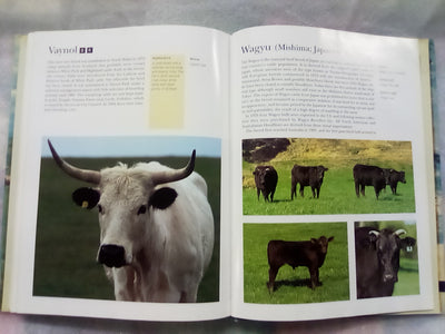 The NZ Guide to Cattle Breeds by Graham Meadows