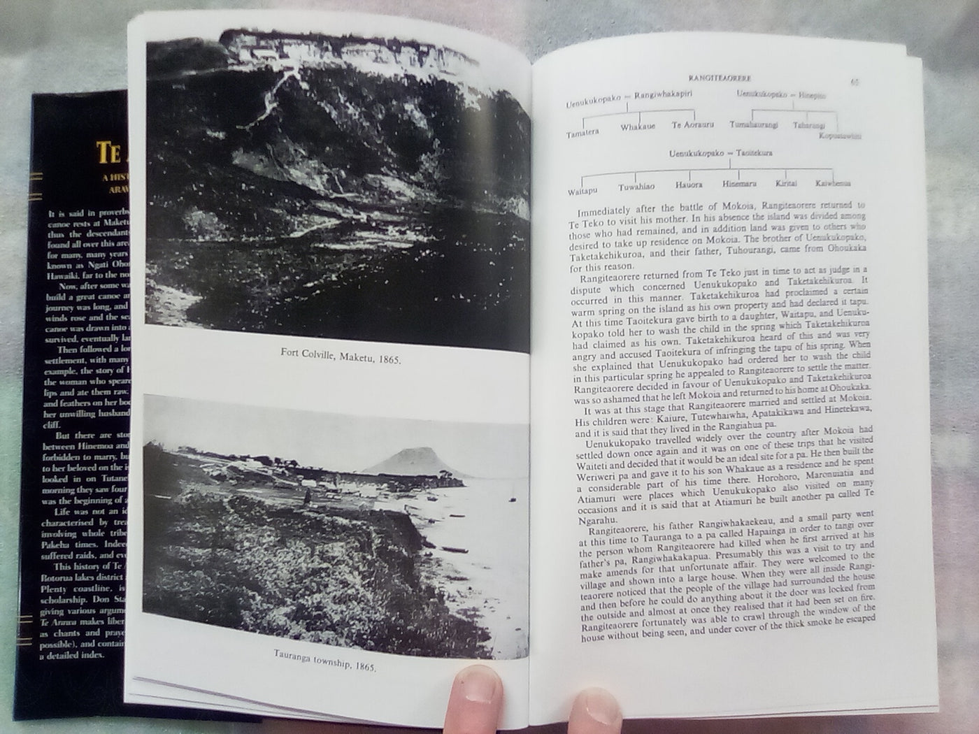 Te Arawa - A History of the Arawa People (2005) by D.M. Stafford