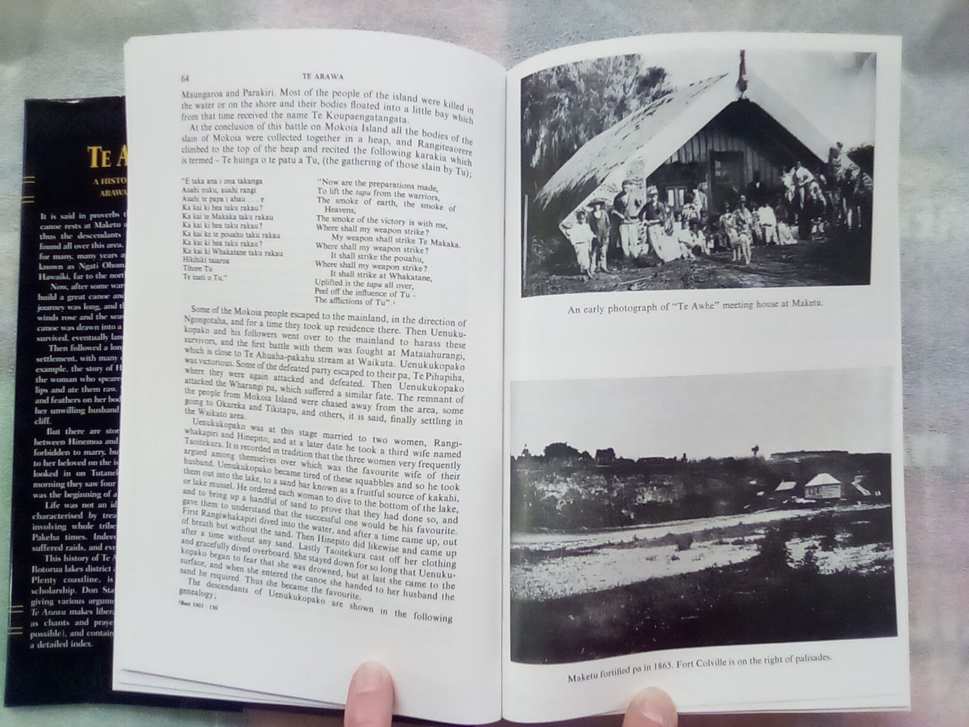 Te Arawa - A History of the Arawa People (2005) by D.M. Stafford