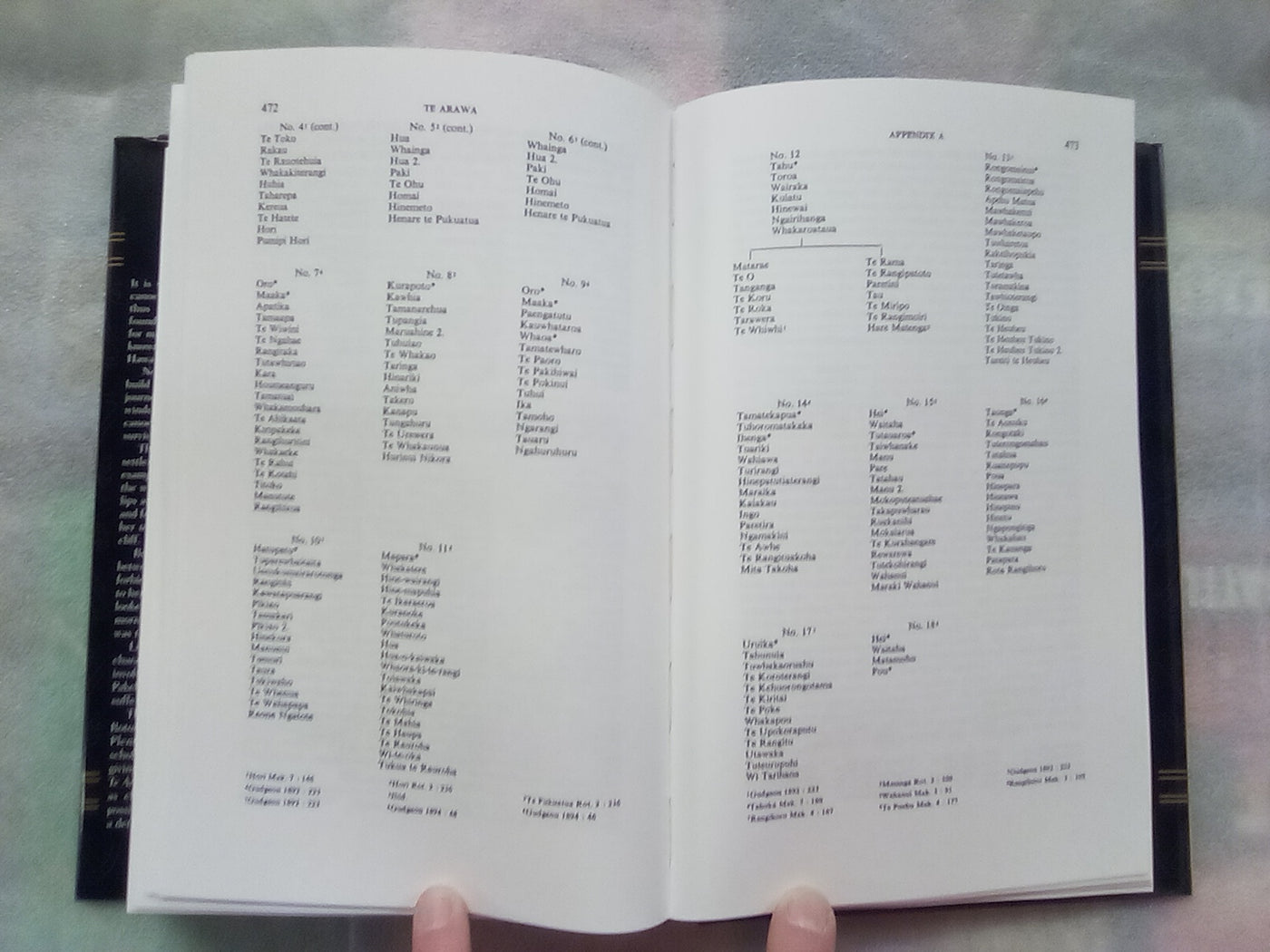 Te Arawa - A History of the Arawa People (2005) by D.M. Stafford