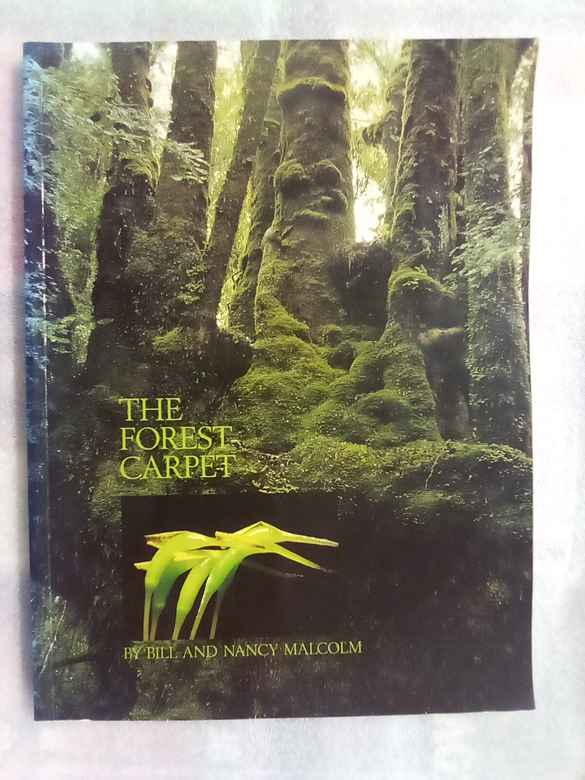 The Forest Carpet - NZs Mosses, Lichens, Liverworts, etc... by Bill & Nancy Malcom