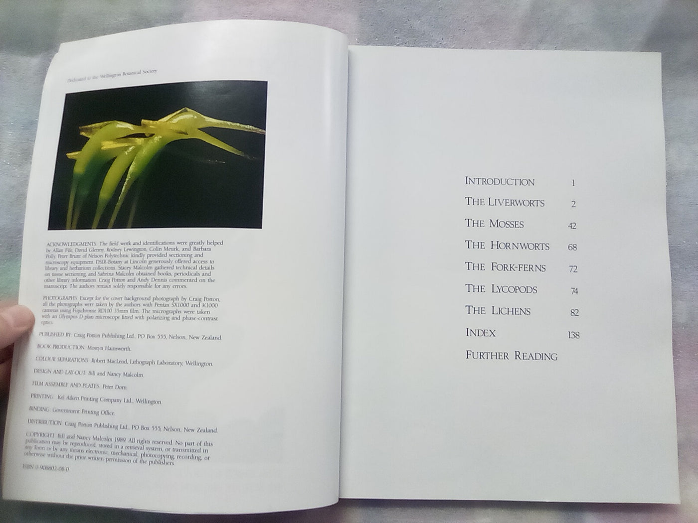 The Forest Carpet - NZs Mosses, Lichens, Liverworts, etc... by Bill & Nancy Malcom