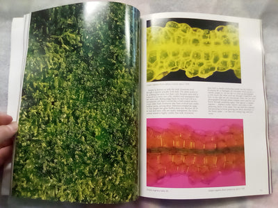 The Forest Carpet - NZs Mosses, Lichens, Liverworts, etc... by Bill & Nancy Malcom