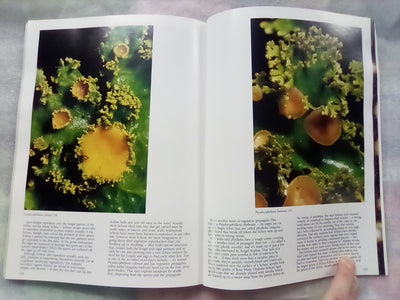 The Forest Carpet - NZs Mosses, Lichens, Liverworts, etc... by Bill & Nancy Malcom