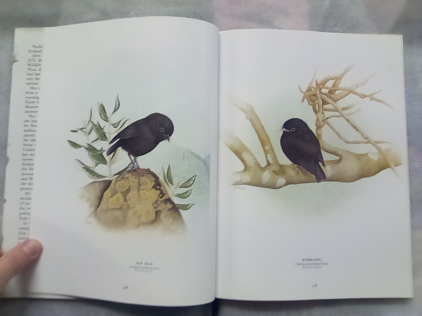 Wild Natives by Pauline Morse - Signed and Numbered Edition