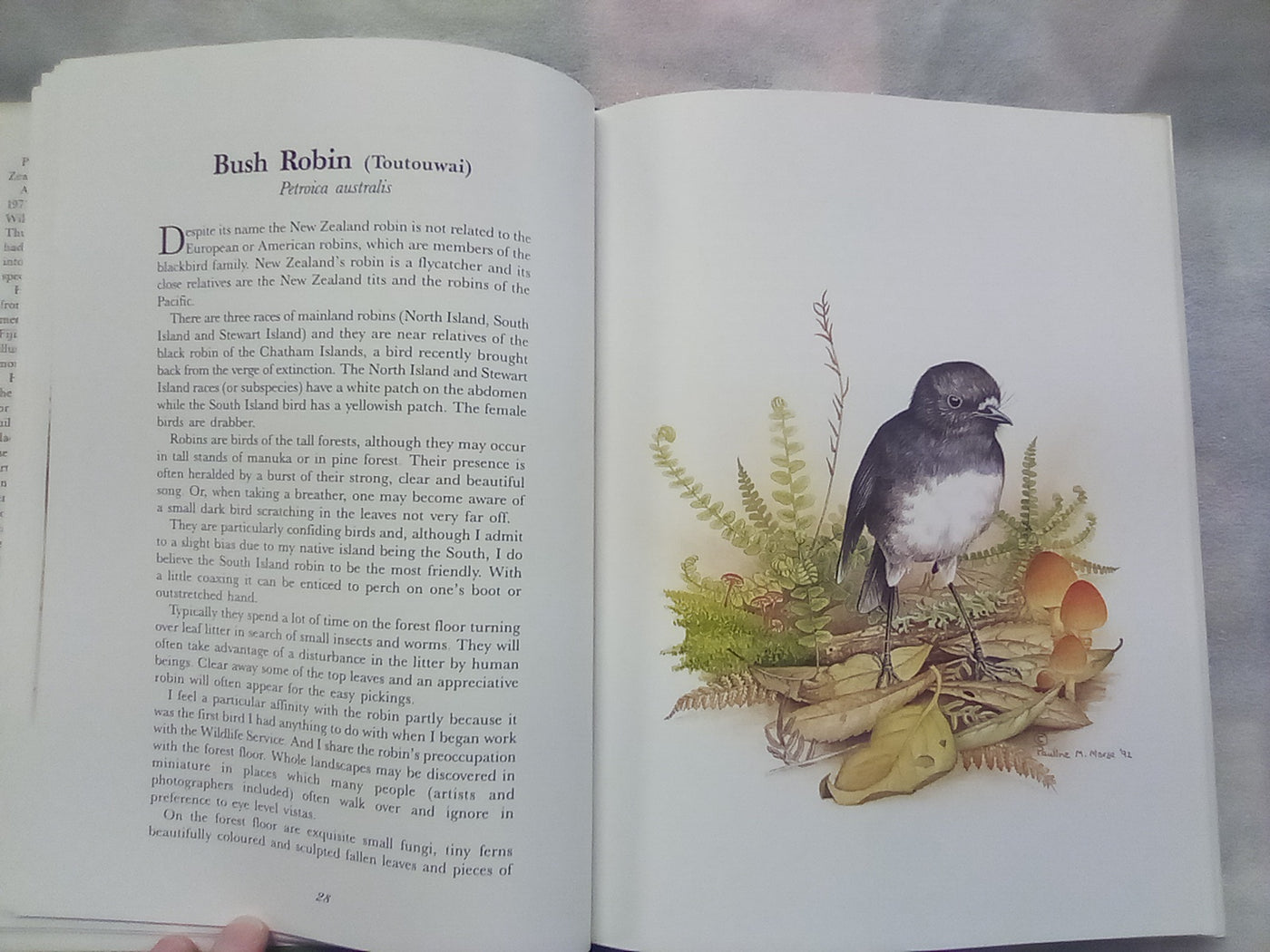 Wild Natives by Pauline Morse - Signed and Numbered Edition