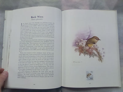 Wild Natives by Pauline Morse - Signed and Numbered Edition
