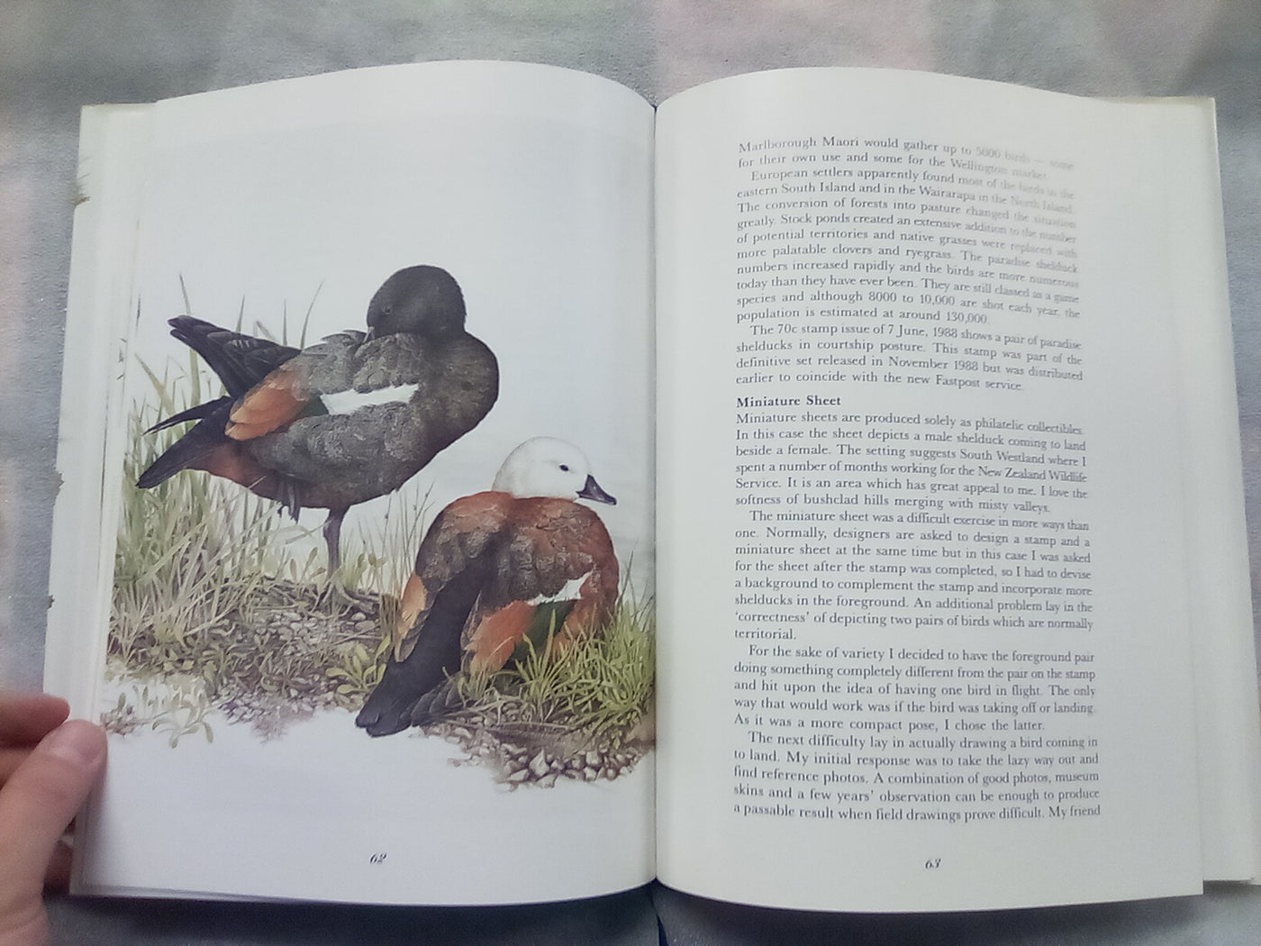 Wild Natives by Pauline Morse - Signed and Numbered Edition