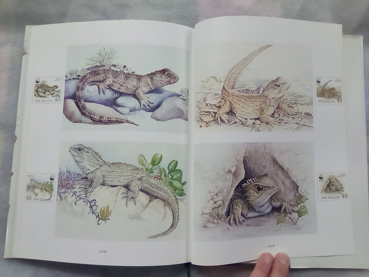 Wild Natives by Pauline Morse - Signed and Numbered Edition