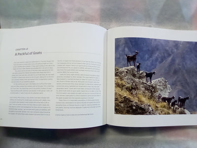 The Heart of Hunting - Wilderness & Hunting in New Zealand by Greig Caigou and Matt Winter
