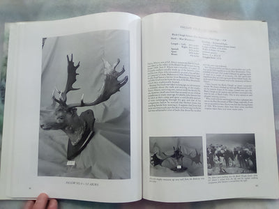 Great New Zealand Deer Heads Vol. 3 by Bruce Banwell
