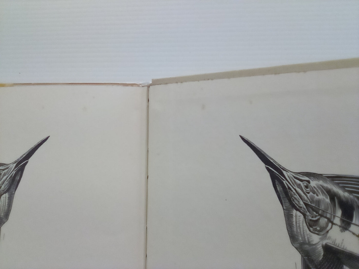 The Old Man and the Sea (1961) by Ernest Hemingway