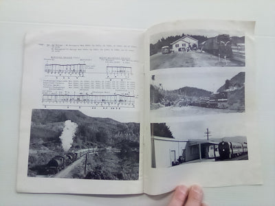 Bay of Plenty Railways - The East Coast Main Trunk by John Russell Jr.