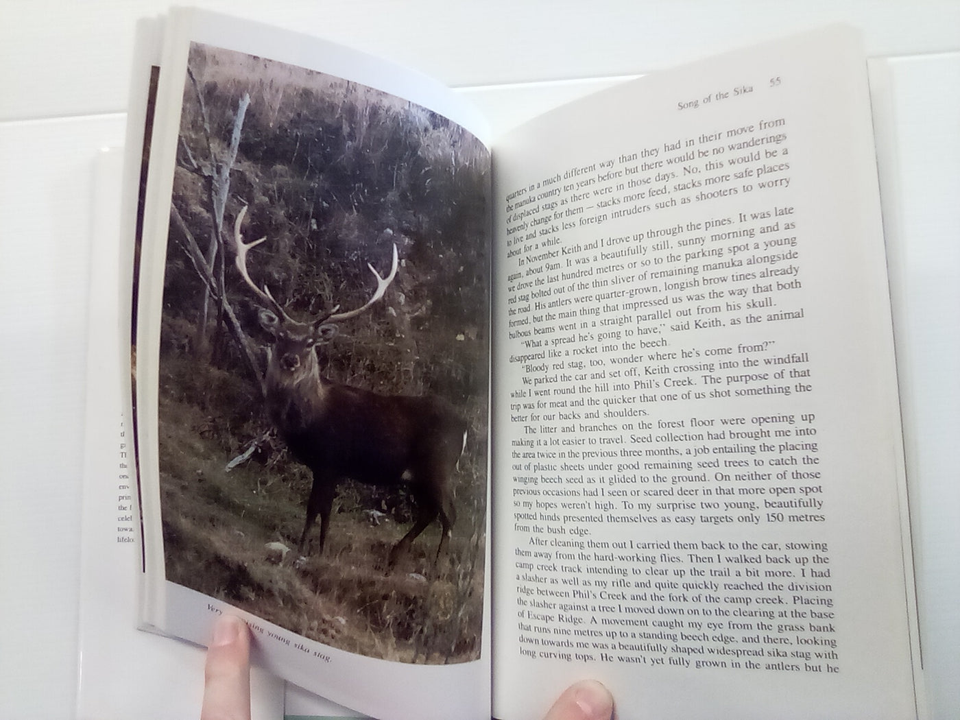 Songs of the Stags (1995) by Colin Davey (Signed Copy)