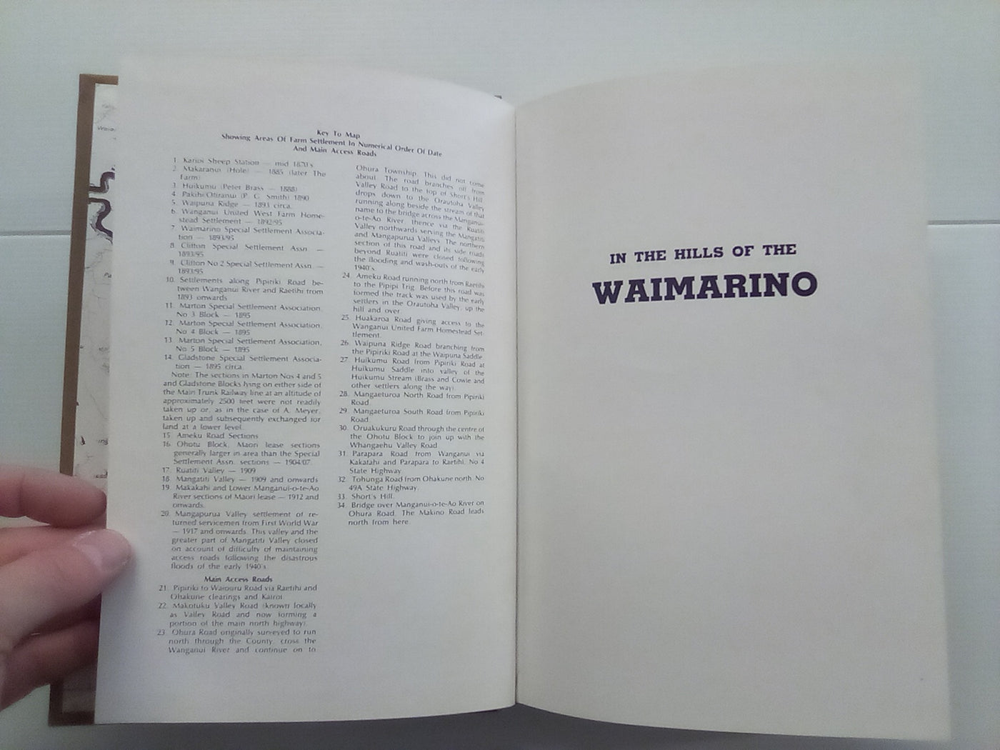 In the Hills of the Waimarino (1984) by Elizabeth Allen