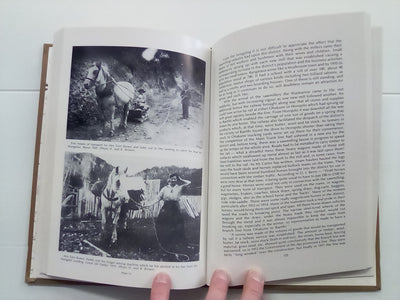 In the Hills of the Waimarino (1984) by Elizabeth Allen
