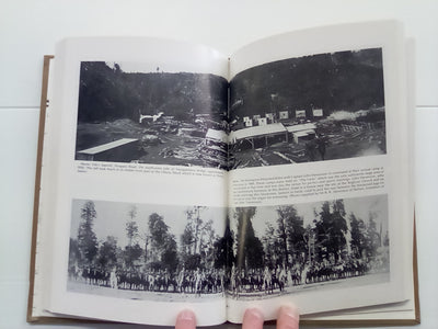 In the Hills of the Waimarino (1984) by Elizabeth Allen