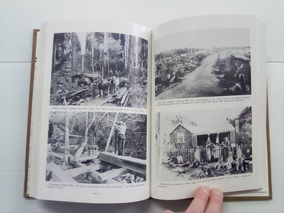 In the Hills of the Waimarino (1984) by Elizabeth Allen