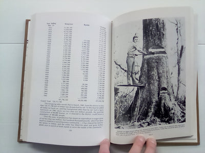 In the Hills of the Waimarino (1984) by Elizabeth Allen