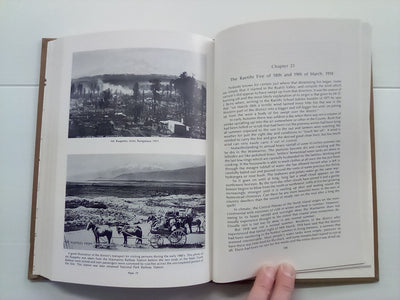 In the Hills of the Waimarino (1984) by Elizabeth Allen