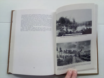 In the Hills of the Waimarino (1984) by Elizabeth Allen