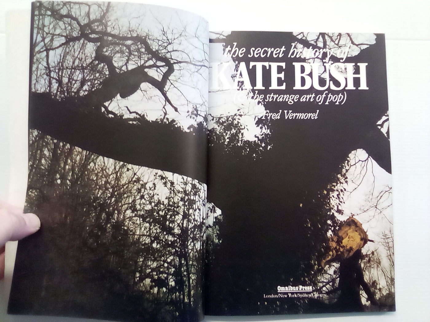 The Secret History of Kate Bush (& the Strange Art of Pop) by Fred Vermorel