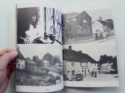 The Secret History of Kate Bush (& the Strange Art of Pop) by Fred Vermorel