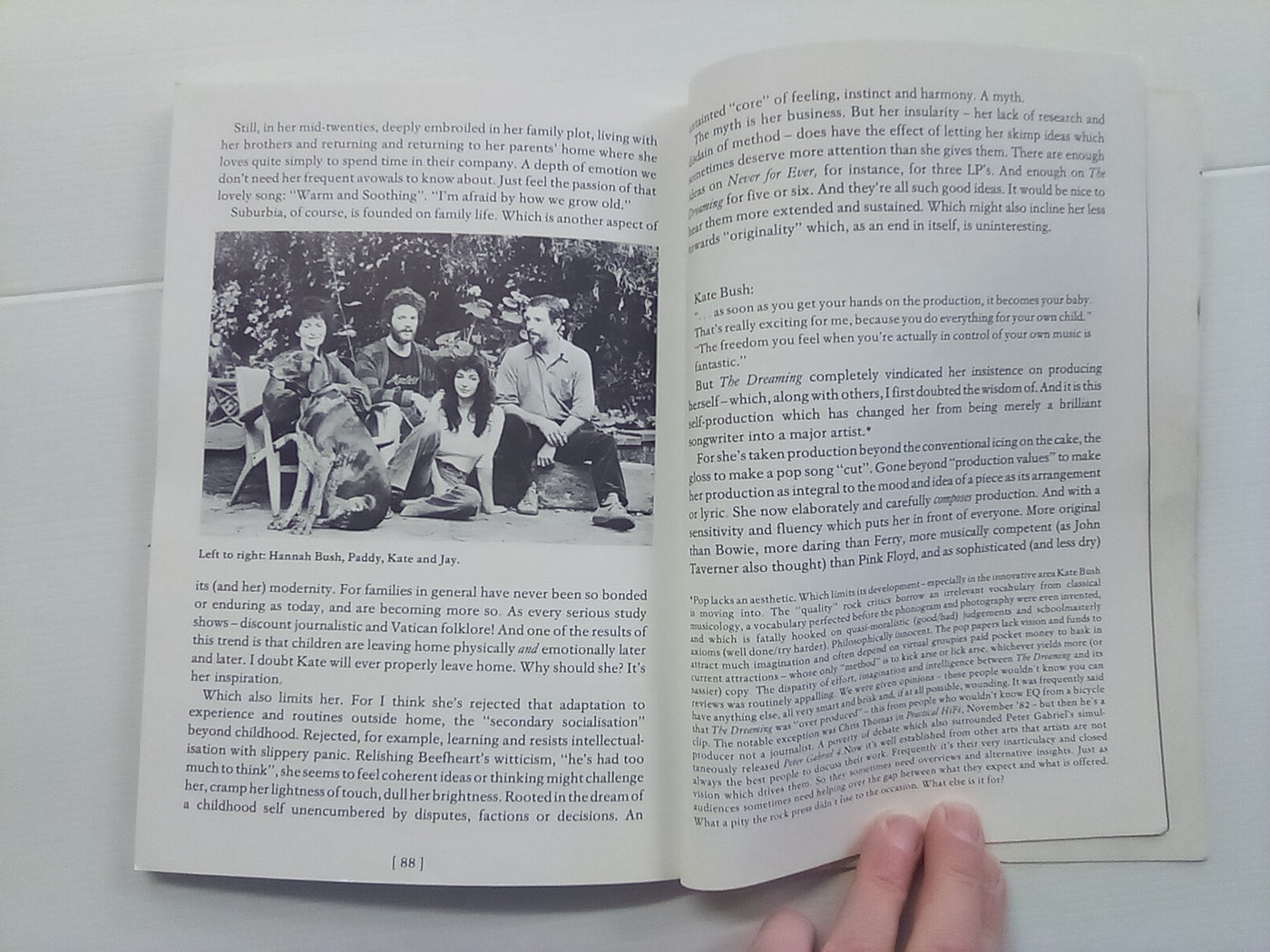 The Secret History of Kate Bush (& the Strange Art of Pop) by Fred Vermorel