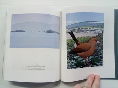 Don Binney - Nga Manu/Nga Motu - Birds/Islands by Damian Skinner