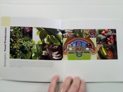Earthship Biotecture (Includes DVD) by Michael Reynolds