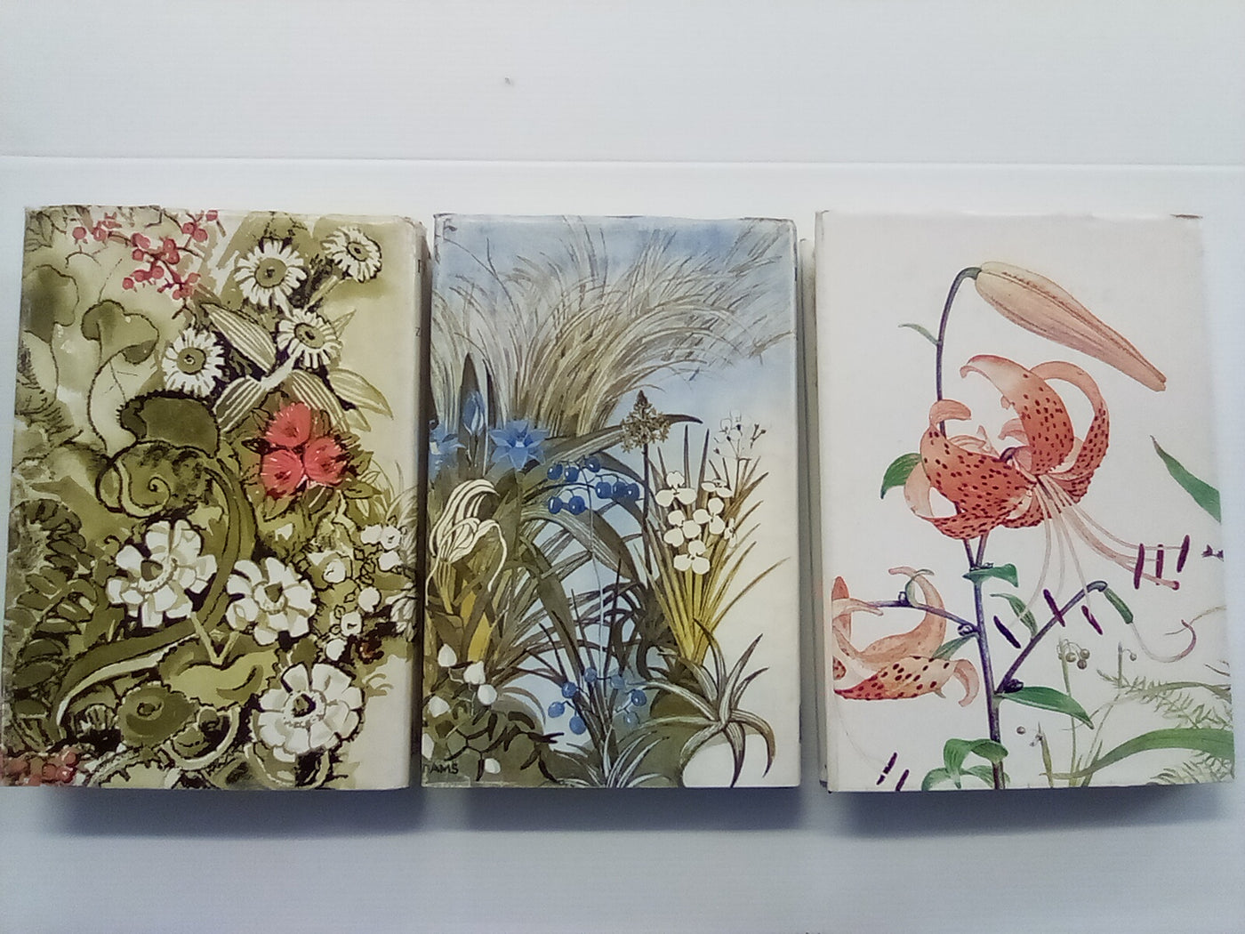 Flora of New Zealand - 3 Volumes (Vol's 1, 2, & 3)