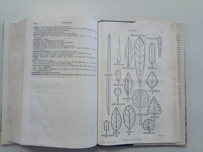Flora of New Zealand - 3 Volumes (Vol's 1, 2, & 3)