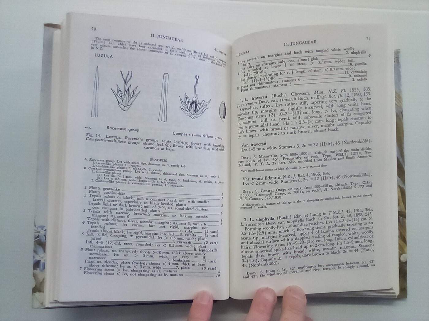 Flora of New Zealand - 3 Volumes (Vol's 1, 2, & 3)