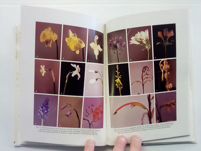 Flora of New Zealand - 3 Volumes (Vol's 1, 2, & 3)