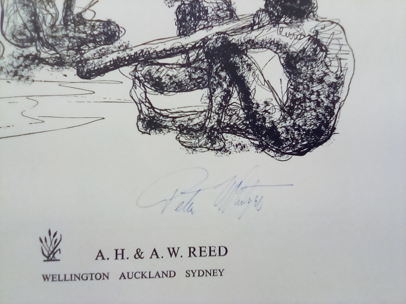 Peter McIntyre's Pacific - Signed Copy