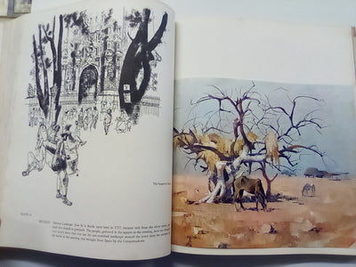 Peter McIntyre's Pacific - Signed Copy