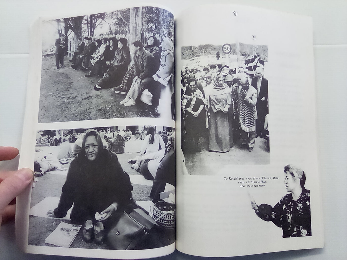 He Korero Mo Waitangi 1984 - He Tohu Aroha, Ki Nga Tupuna